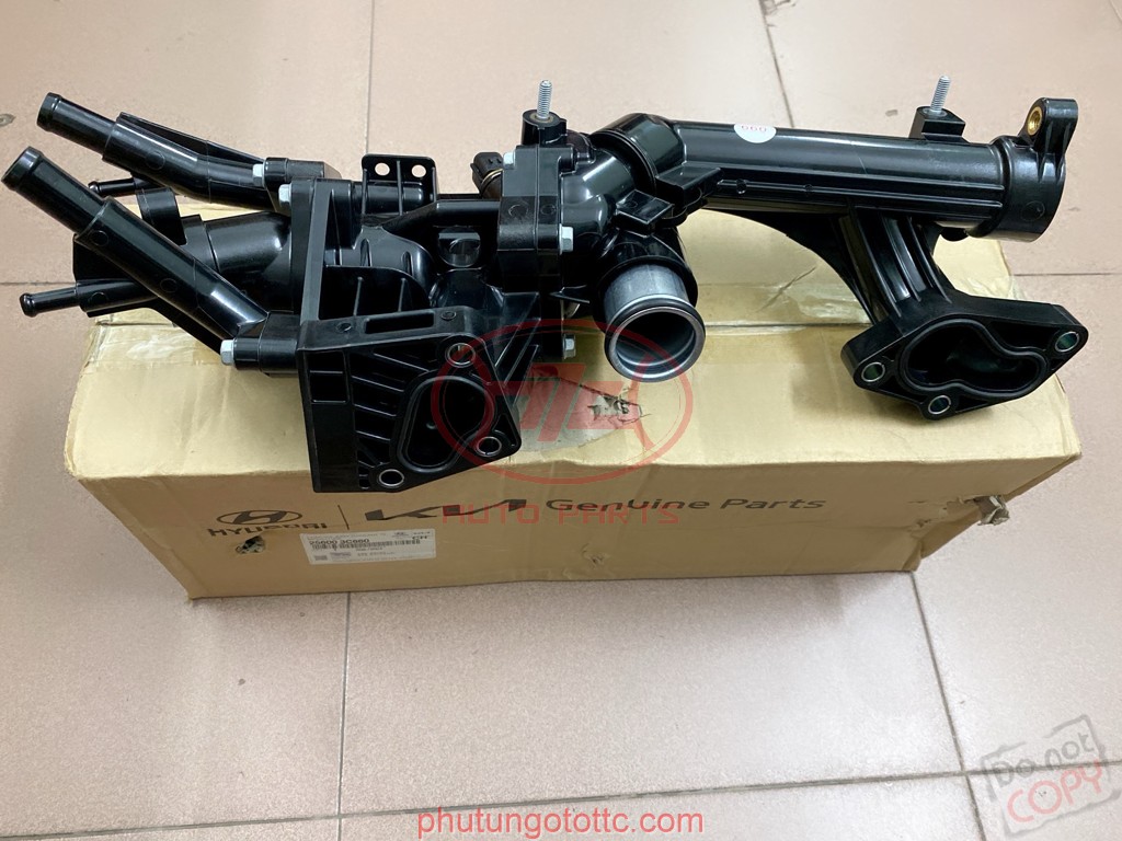 Cụm van hằng nhiệt Genesis 2010 (256003C660)
