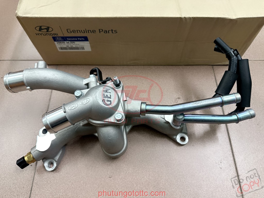 Cụm Van hằng nhiệt Santafe 2006-2008 2.7 (256003E200)