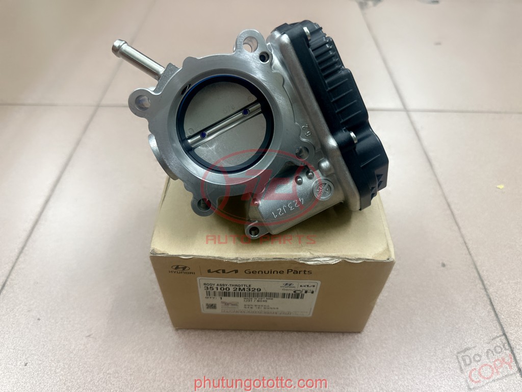 Két nước Stargazer/Creta 2023 25310I7000