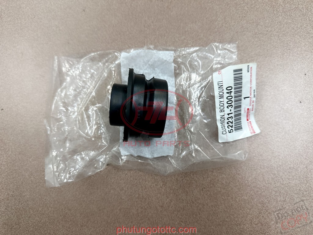 Cao su đỡ vỏ xe Crown 3.0 JZS133 (số 4) (5223130040)